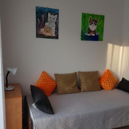 Apartment Mit Balkon Poreč Zewnętrze zdjęcie